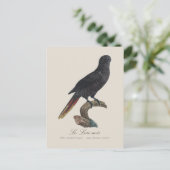 Black Lory or Red-Quilled Lory, Chalcopsitta atra ポストカード (スタンド正面)