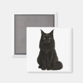 Black Maine Coon Magnet マグネット (正面/裏面)
