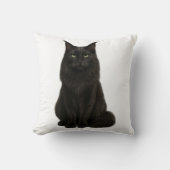 Black Maine Coon Pillow クッション (正面)