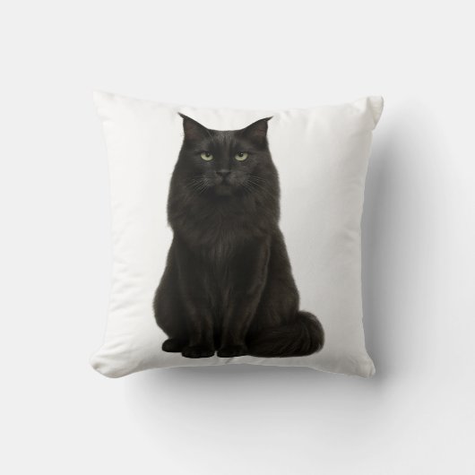 Black Maine Coon Pillow クッション (正面)