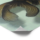 Black-moor Goldfish Portfolio ポスター (角)