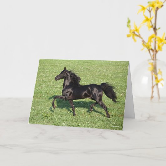 Black Morgan Stallion Mane and Tail Flowing カード (黄色い花)