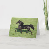 Black Morgan Stallion Mane and Tail Flowing カード (正面)