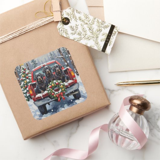 Black Newfoundland Christmas Red Truck Holiday スクエアシール (ギフト)
