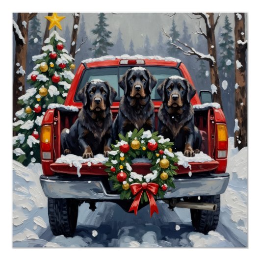 Black Newfoundland Christmas Red Truck Holiday ポスター (正面)