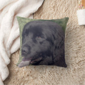 Black Newfoundland Dog Face クッション (ブランケット)