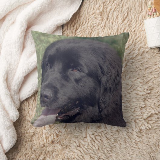 Black Newfoundland Dog Face クッション (ブランケット)