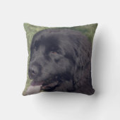 Black Newfoundland Dog Face クッション (裏面)