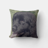 Black Newfoundland Dog Face クッション (正面)