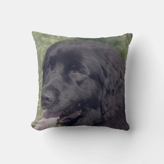 Black Newfoundland Dog Face クッション (正面)