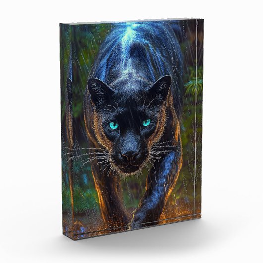 Black Panther フォトブロック (左)