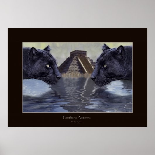 BLACK PANTHER & CHICHEN ITZAアートポスター ポスター (正面)