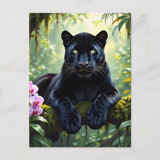 Black Panther in the Jungle ポストカード (正面)