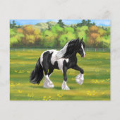 Black Pinto Piebald Gypsy Vanner Draft Horse (裏面)