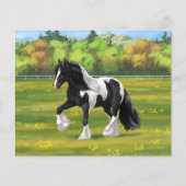 Black Pinto Piebald Gypsy Vanner Draft Horse (正面)