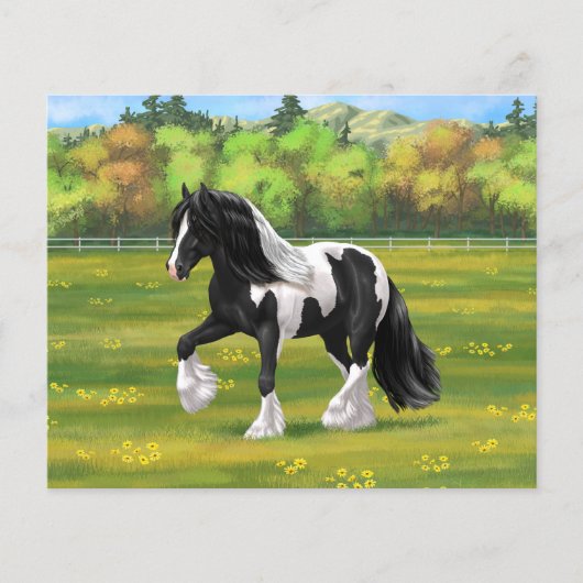 Black Pinto Piebald Gypsy Vanner Draft Horse (正面)