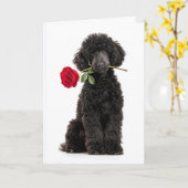 Black Poodle Puppy Valentine – Sweet Devotion カード (黄色い花)