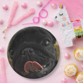 black pug licking ペーパープレート (パーティー)