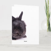 black rabbit シーズンカード (裏面)