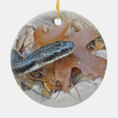 Black Rat Snake - Elapheの陳腐化 セラミックオーナメント (裏面)