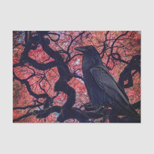 Black Raven and Gnarly Japanese Maple 薄葉紙 (正面)