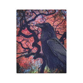 Black Raven and Gnarly Japanese Maple Tree メタルプリント
