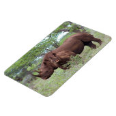 Black Rhino with Calf マグネット (左側)