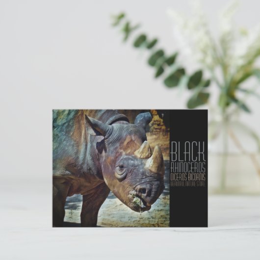 Black Rhinoceros [Postcard] ポストカード (スタンド正面)