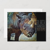 Black Rhinoceros [Postcard] ポストカード (正面/裏面)