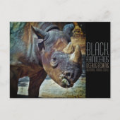 Black Rhinoceros [Postcard] ポストカード (正面)