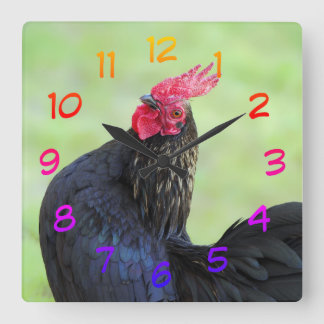 Black Rooster スクエア壁時計