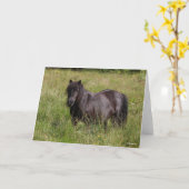 Black Shetland Stallion Standing In Grass カード (黄色い花)