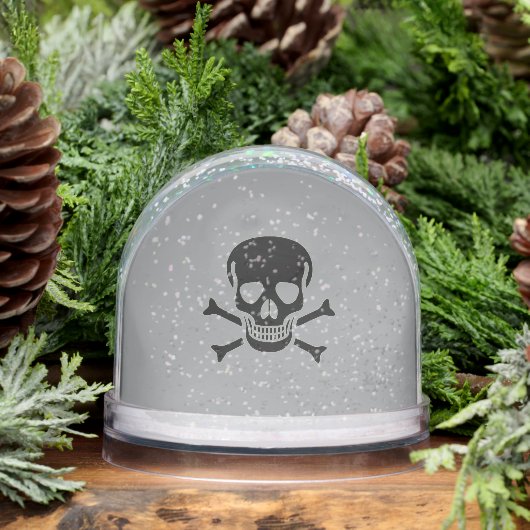 Black Skull gray snow globe (冬)