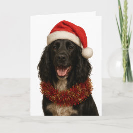 Black Sprocker / Springer Spaniel Christmas card カード