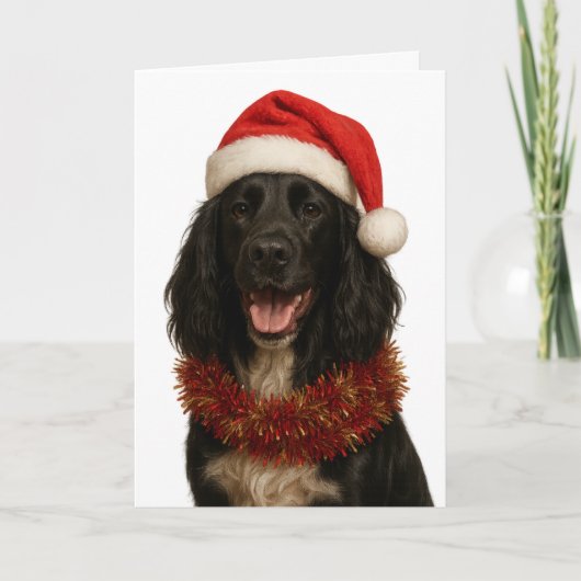 Black Sprocker / Springer Spaniel Christmas card カード (正面)