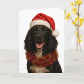 Black Sprocker / Springer Spaniel Christmas card カード (黄色い花)