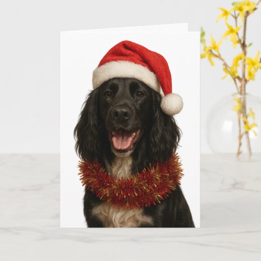 Black Sprocker / Springer Spaniel Christmas card カード (黄色い花)