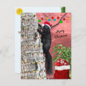 Black Squirrel Christmas Flat Holiday Card シーズンポストカード (正面/裏面)