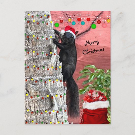Black Squirrel Christmas Flat Holiday Card シーズンポストカード (正面)