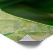 Black Swallowtail Butterfly on flower ポスター (角)