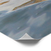 Black Swan and Cygnets ポスター (角)