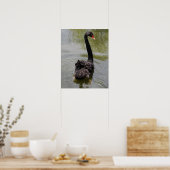 Black Swan in Tranquil Pond ポスター (キッチン)