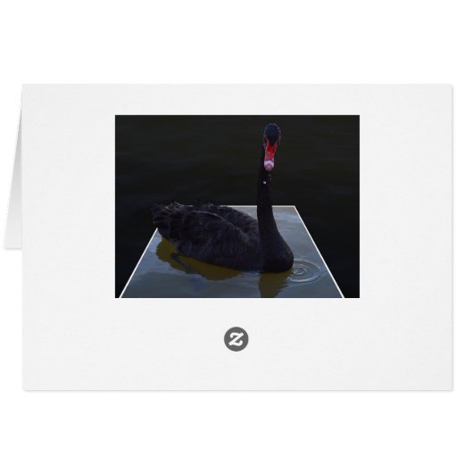 Black Swan Swimming In Dimensional Pond, (裏面横)