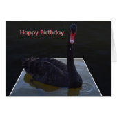 Black Swan Swimming In Dimensional Pond, (正面横)