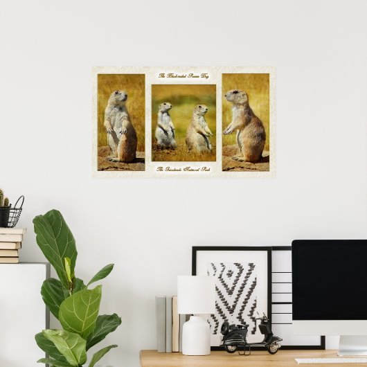 Black-tailed Prairie Dog Poster ポスター (ホームオフィス)