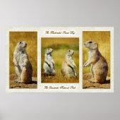 Black-tailed Prairie Dog Poster ポスター (正面)