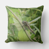 Black-tailed Skimmer Throw Pillow クッション (正面)