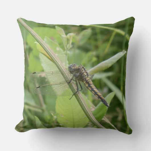 Black-tailed Skimmer Throw Pillow クッション (正面)