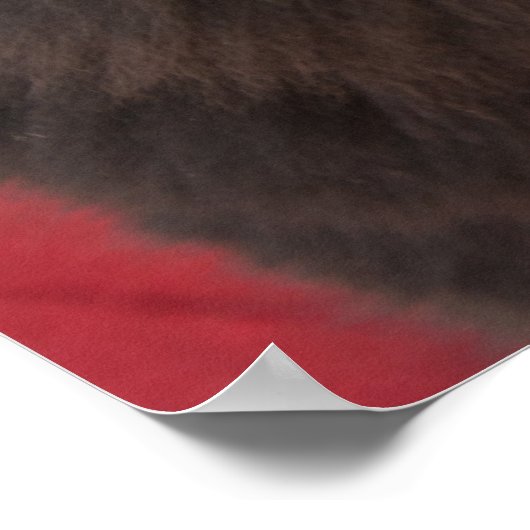 Black Tibetan Mastiff ポスター (角)