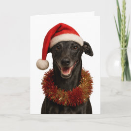 Black whippet in a Santa hat Christmas card カード